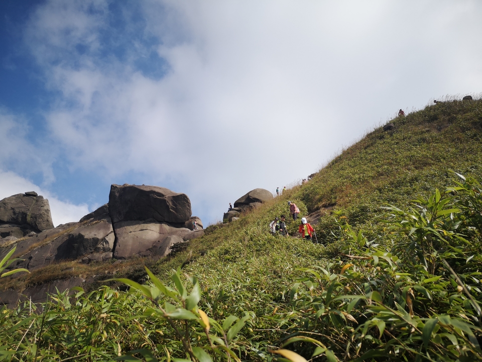 微信图片_20201102094315