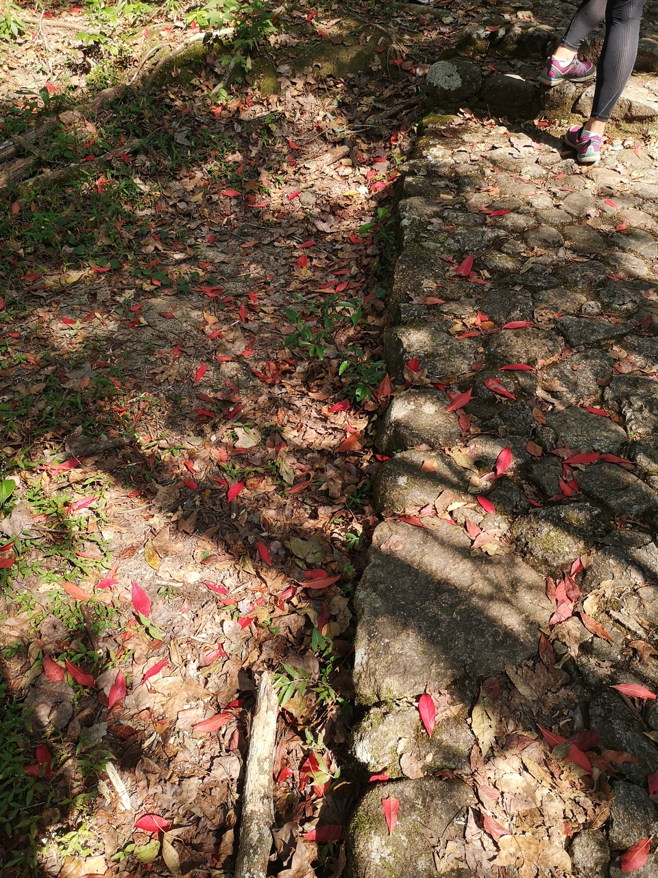 微信图片_20201102094334