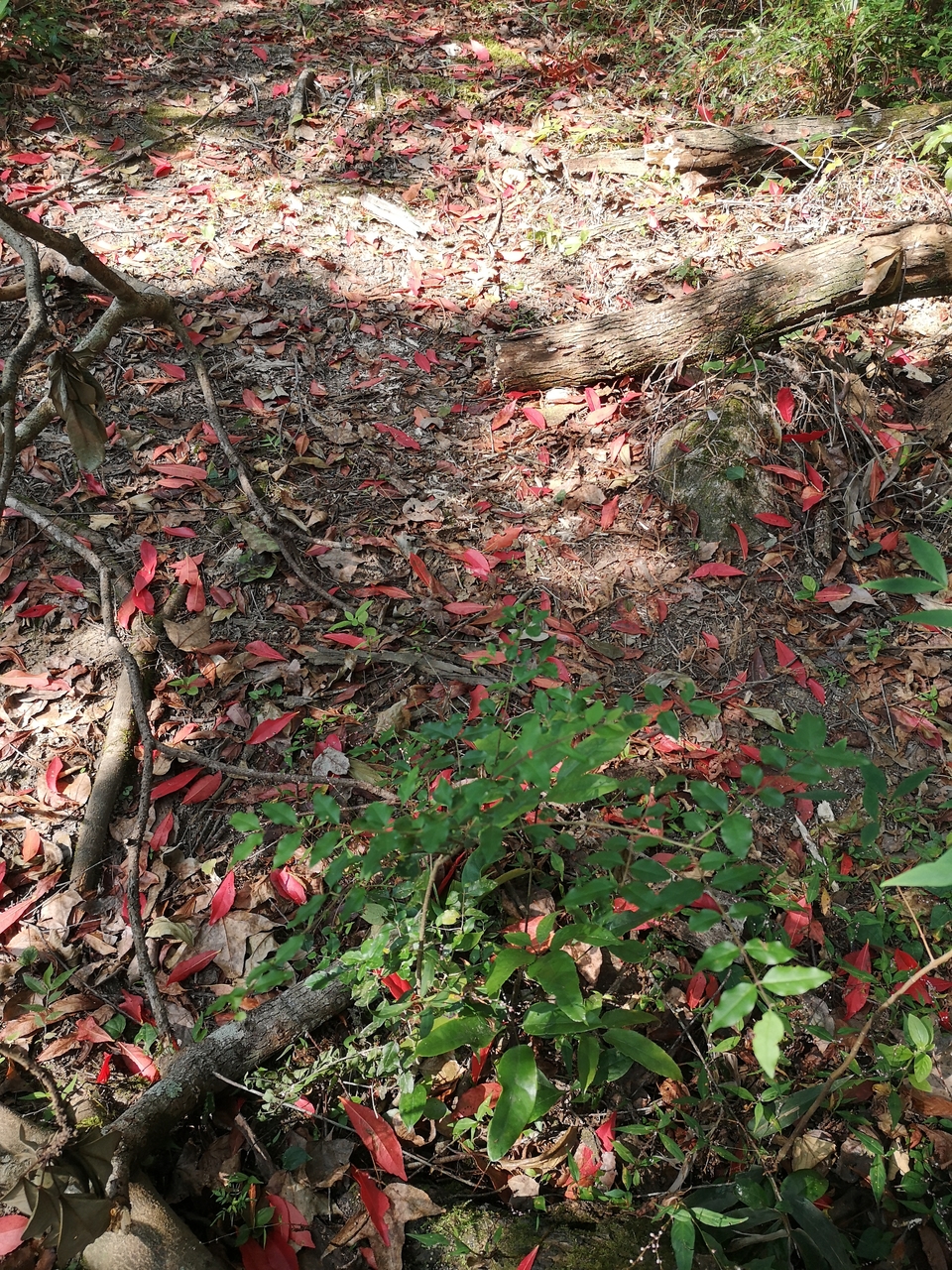 微信图片_20201102094340