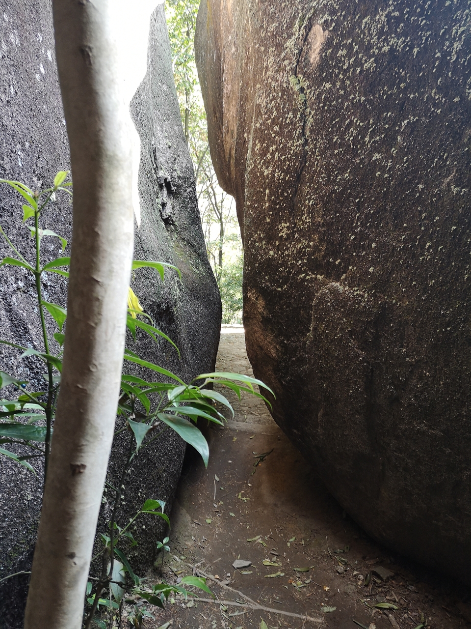 微信图片_20201102094347