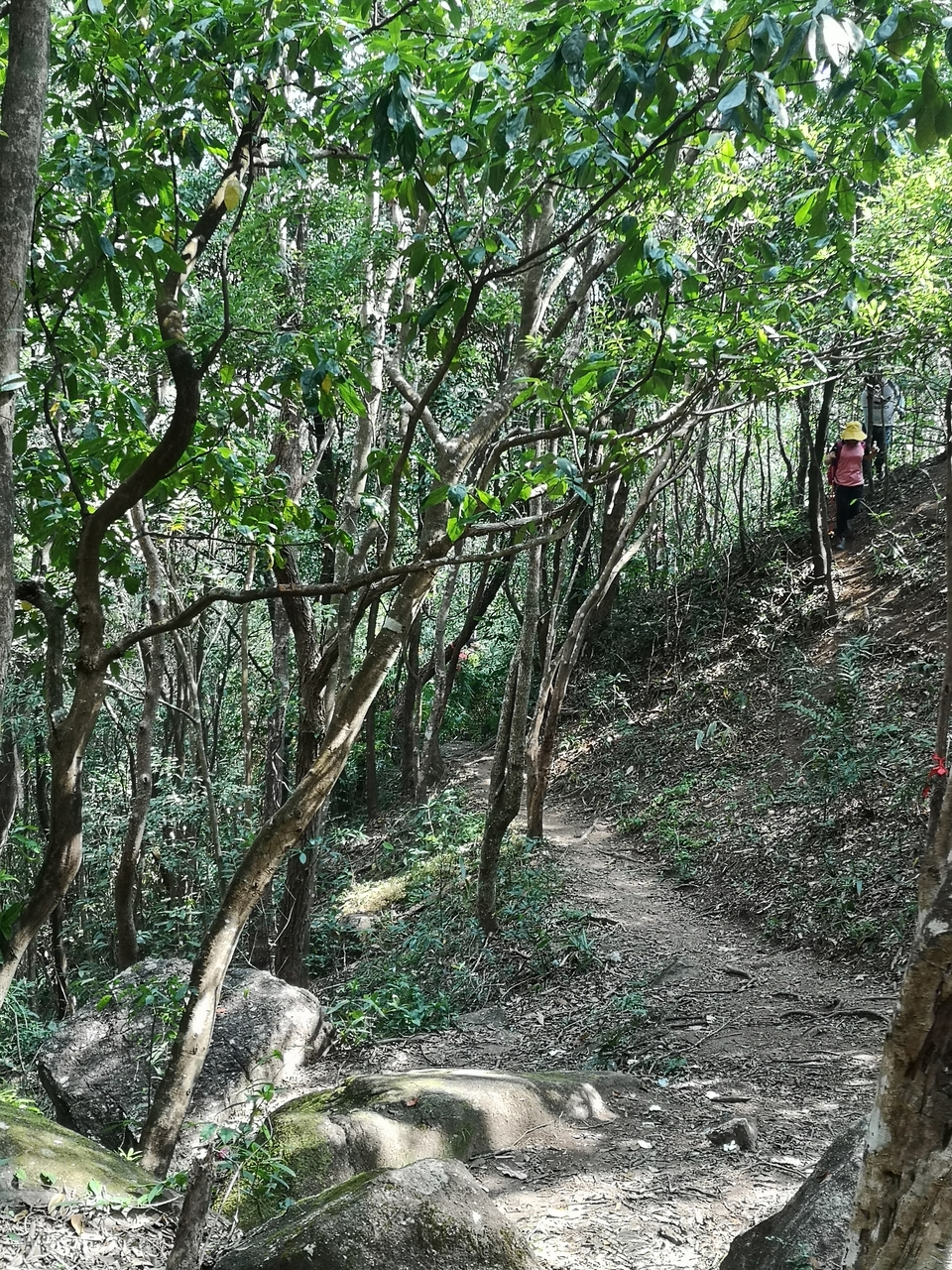 微信图片_20201102094359