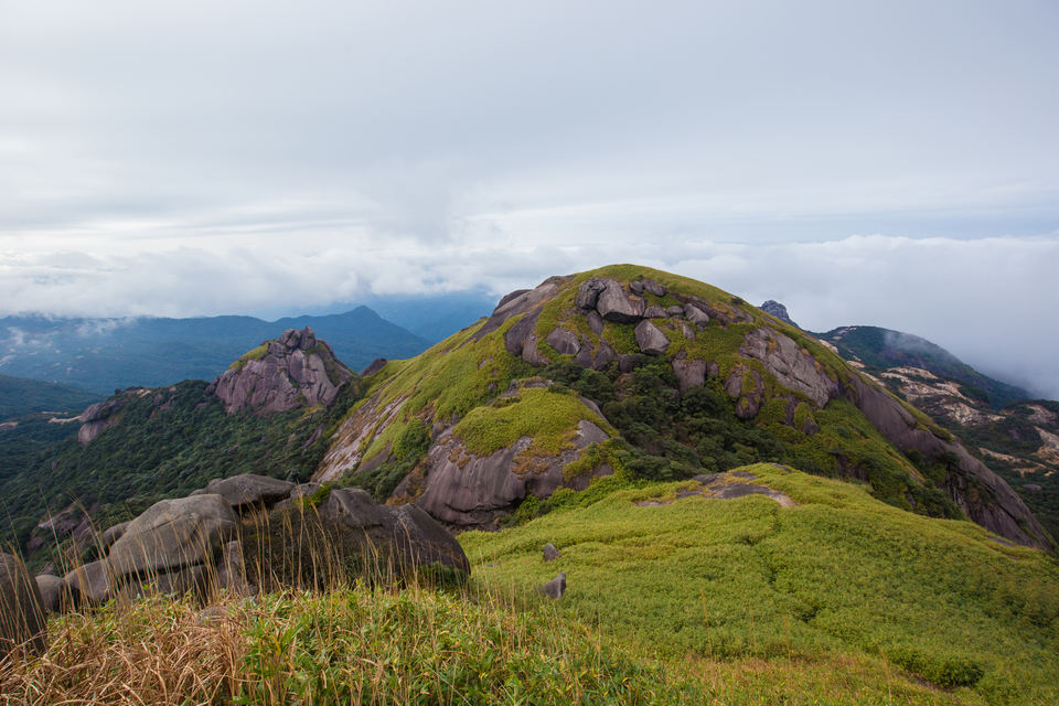 微信图片_20201102094434