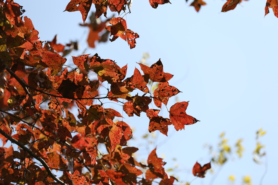 微信图片_20201102094458