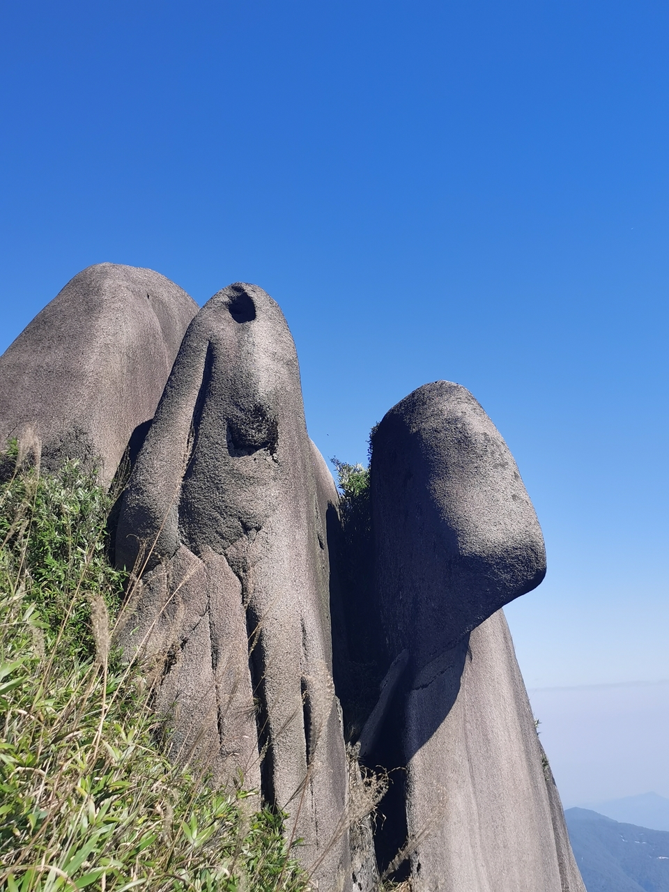 微信图片_20201109154805