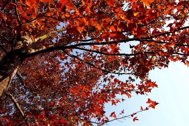 微信图片_20201126181521