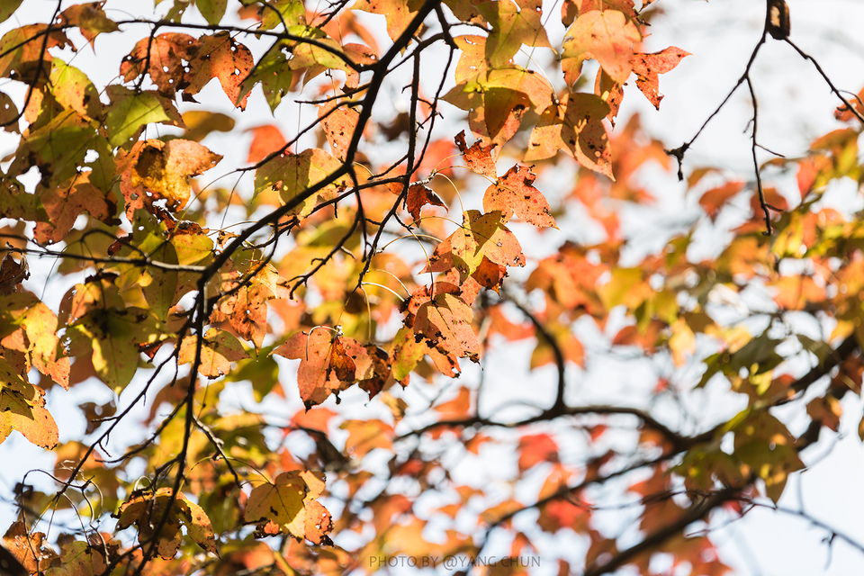 微信图片_20201126181526