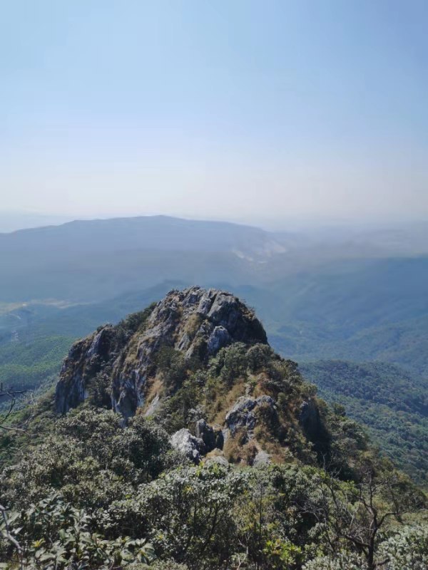 微信图片_20191110210922