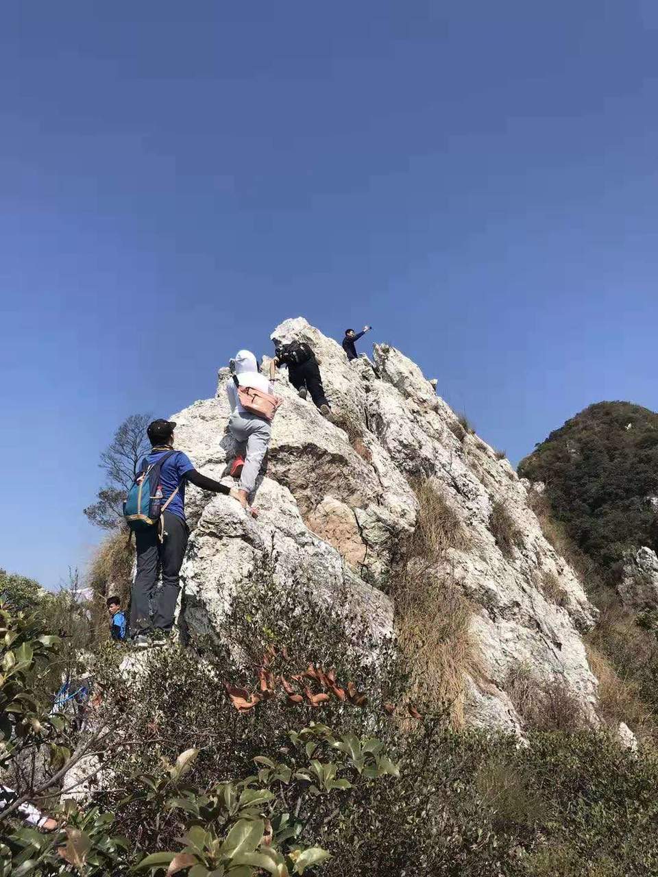 微信图片_20191110211136