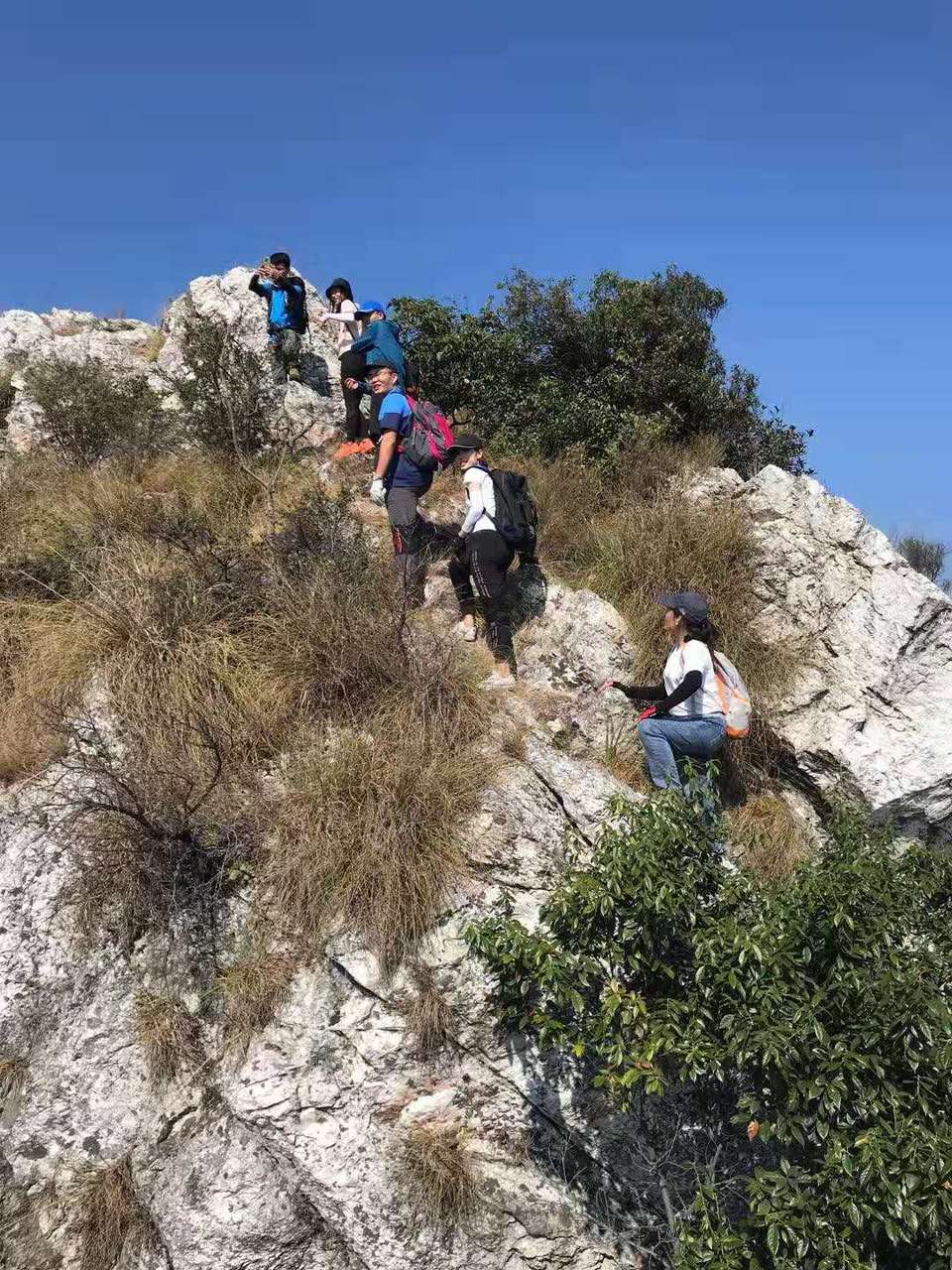 微信图片_20191110211142