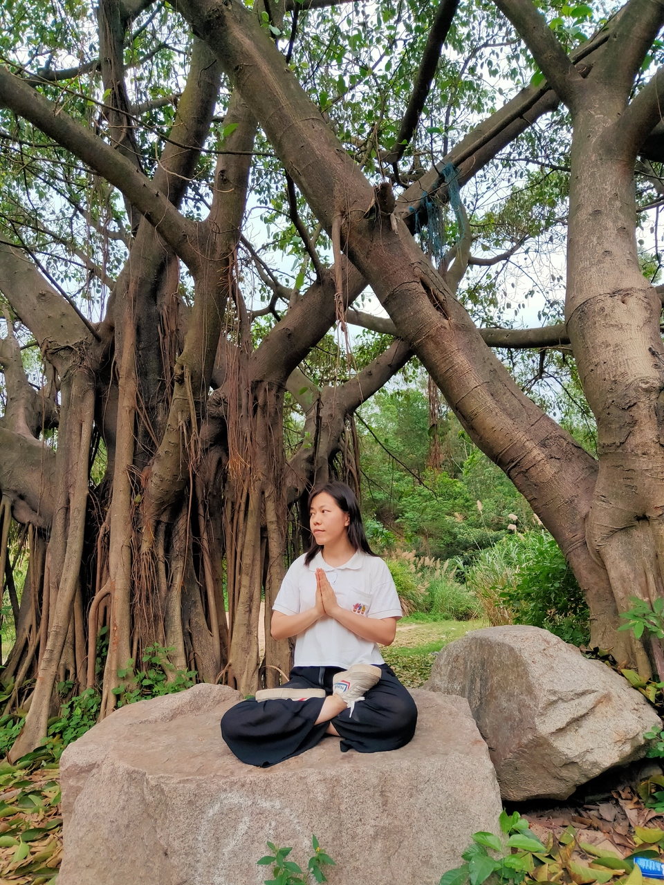 微信图片_20200512163334