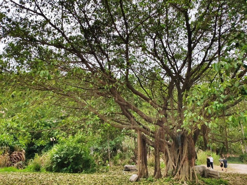 微信图片_20200512163346