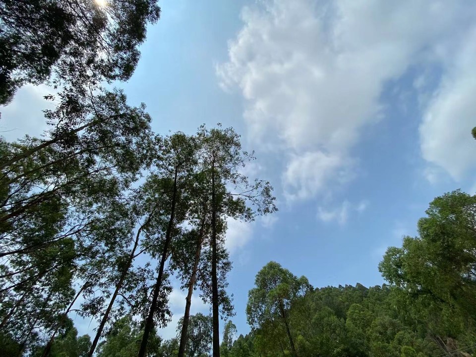 微信图片_202005121454406