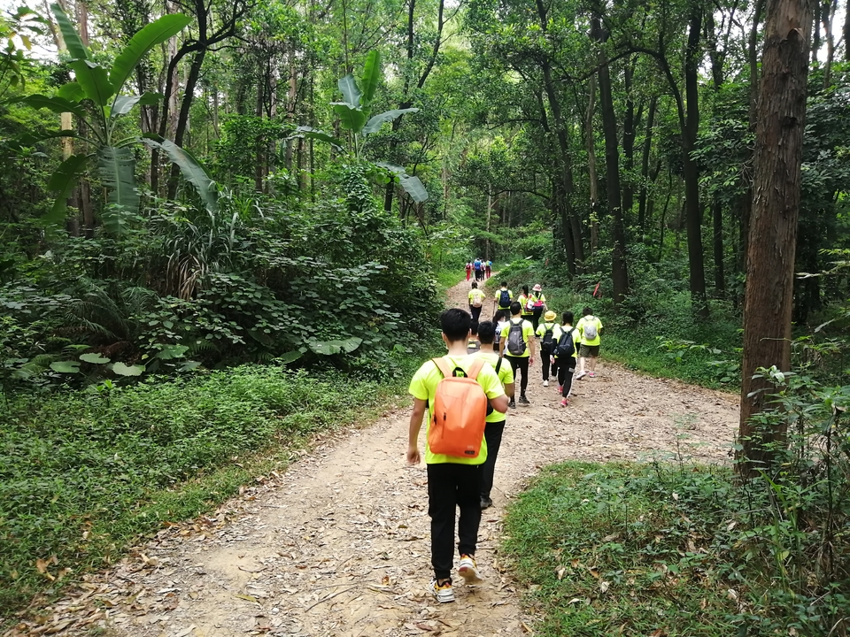 微信图片_2020051214544015