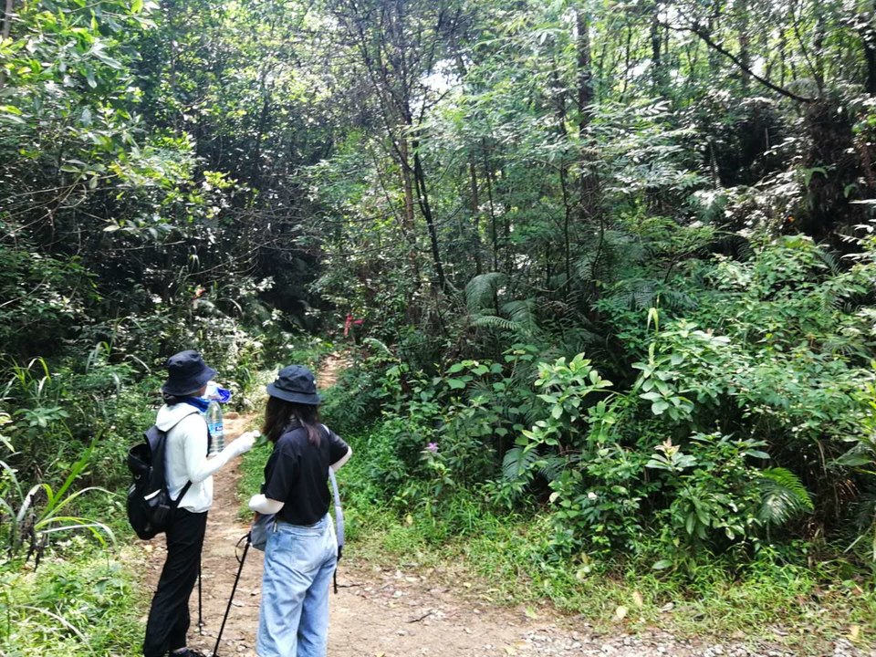 微信图片_202005191700572