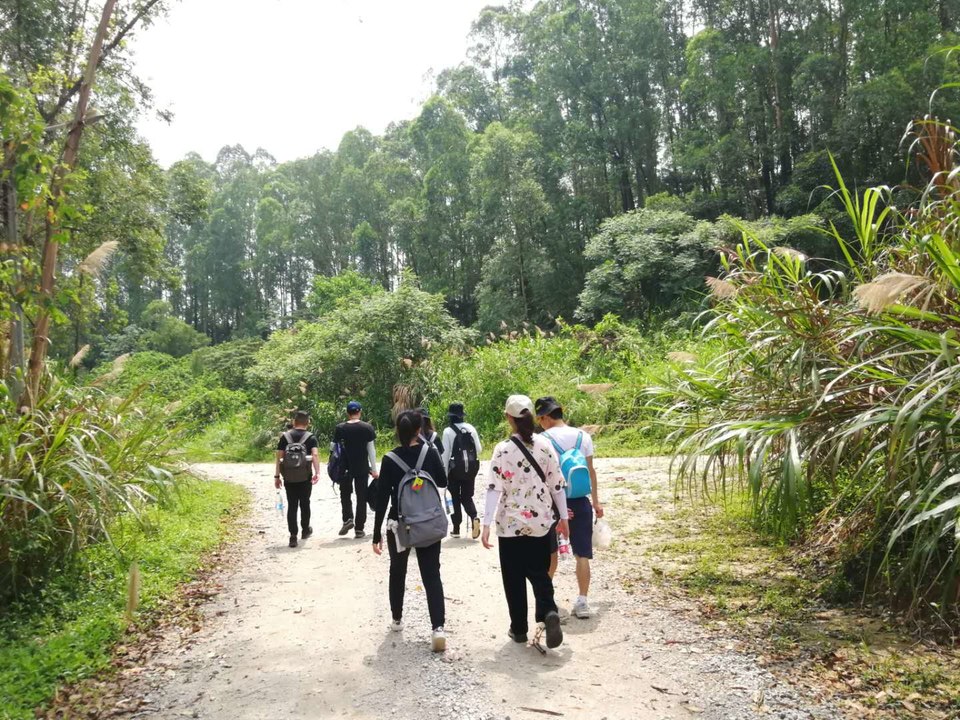 微信图片_202005191700573