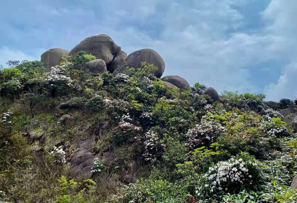 微信图片_20230328093843 - 副本