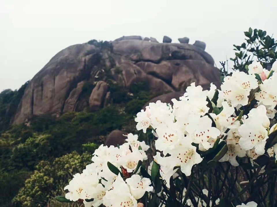 微信图片_20230328093839 - 副本