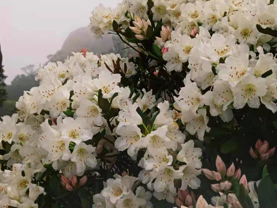 微信图片_20230328093834 - 副本