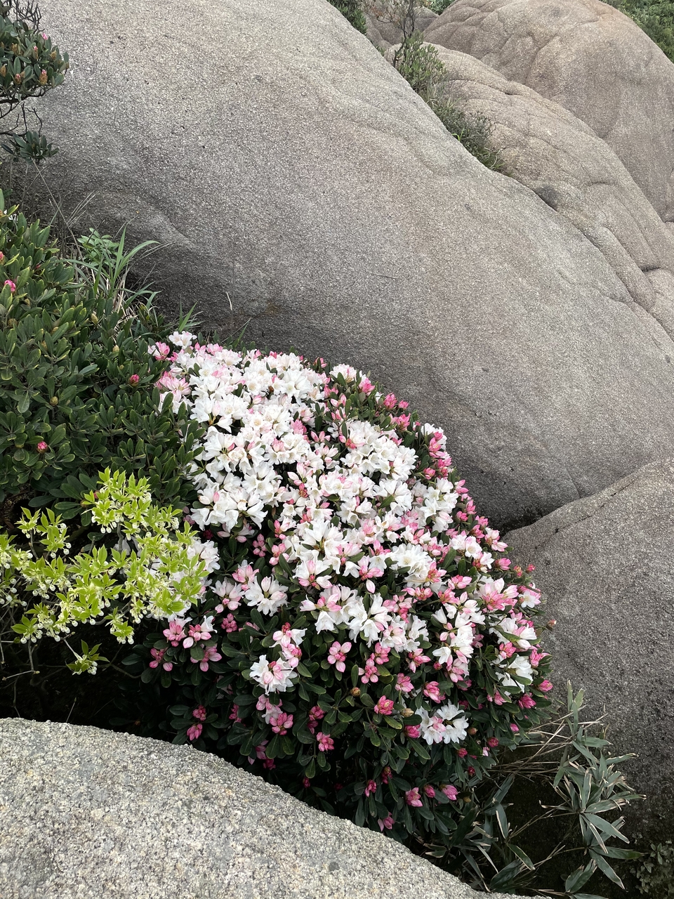 微信图片_20230328093828 - 副本