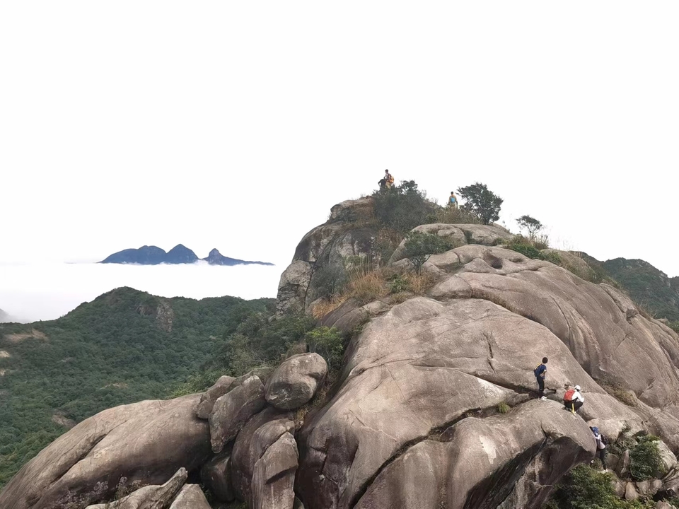 微信图片_20230328093807 - 副本