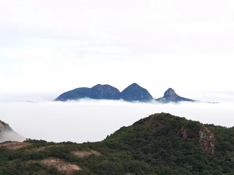 微信图片_20230328093804 - 副本