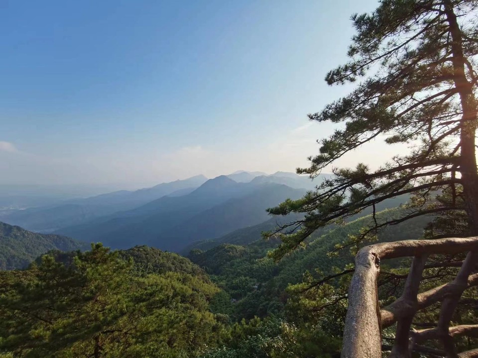 微信图片_20230328093725 - 副本