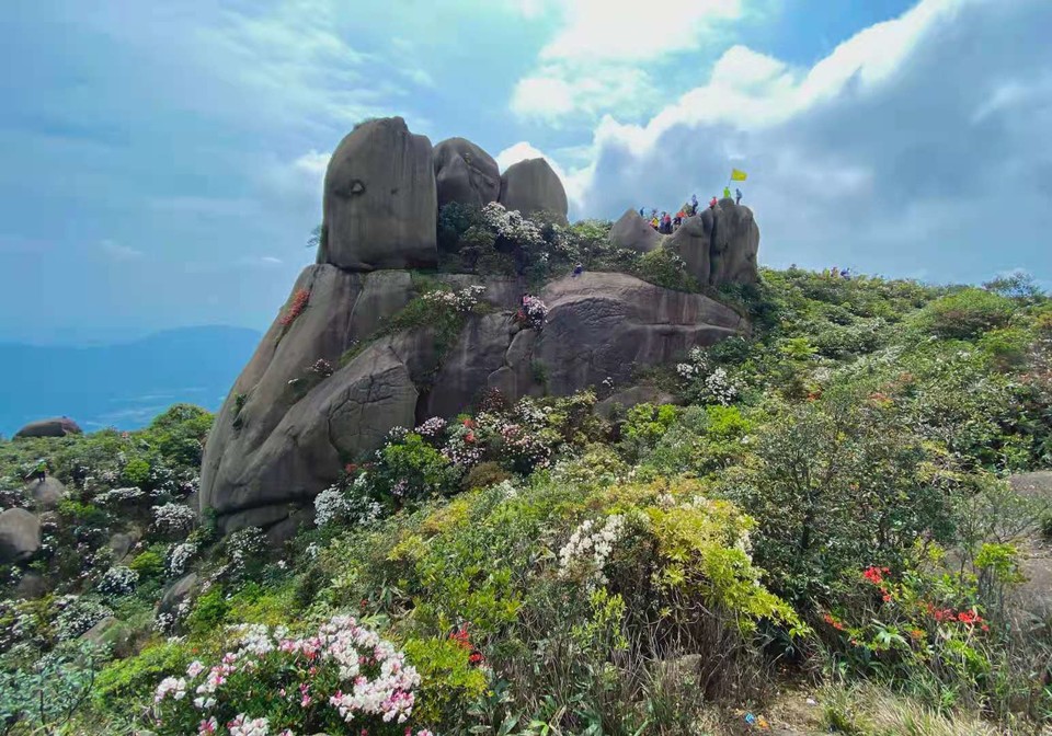 微信图片_20230328104422