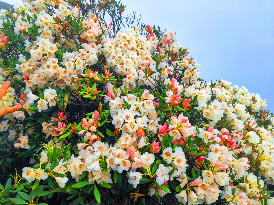 微信图片_20230328104412