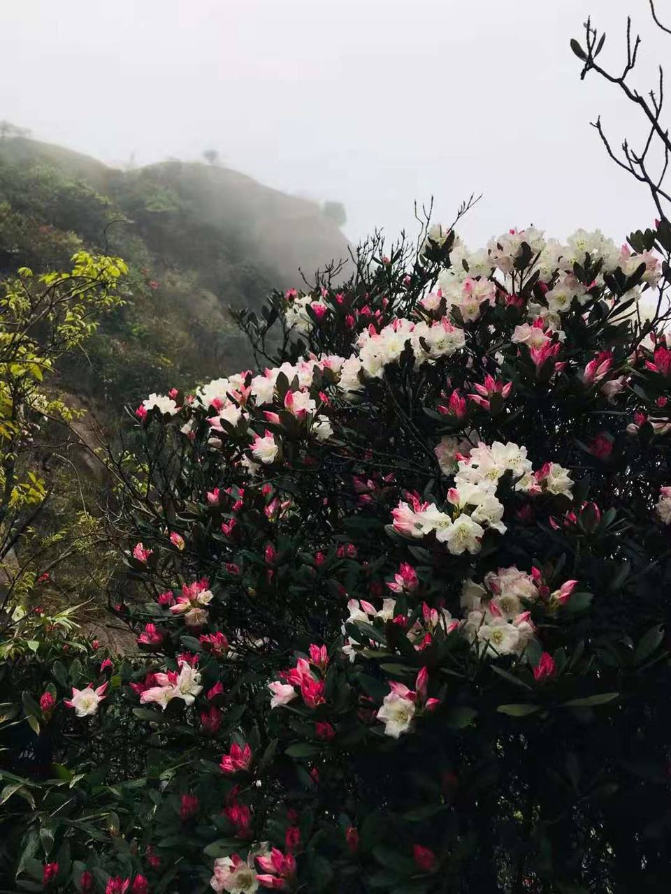 微信图片_20230328104405