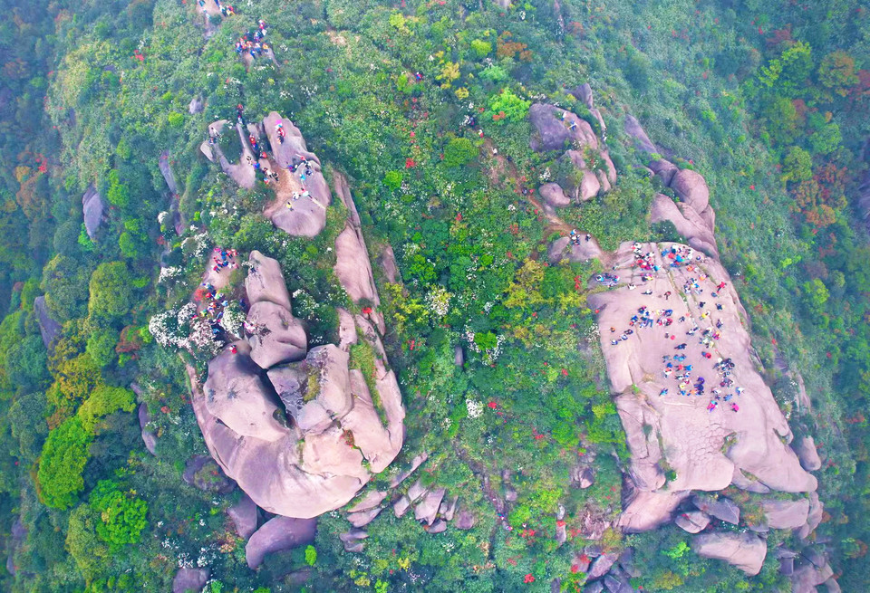 微信图片_20230328104352