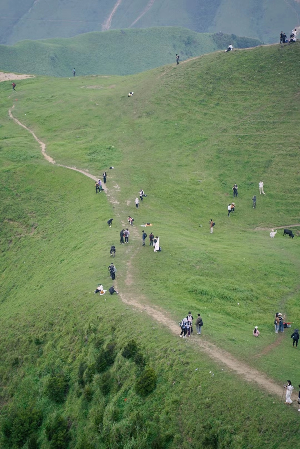 微信图片_20230717100143