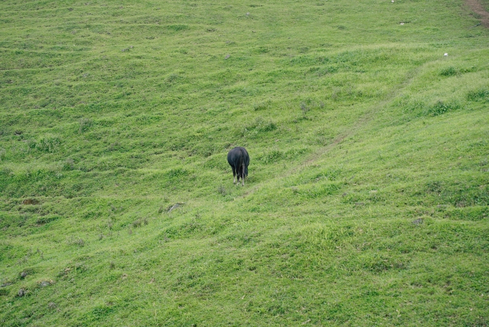 微信图片_202307171001401