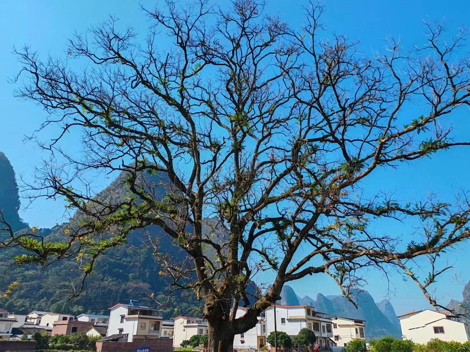 7c568248428657d05036ed40c76005b