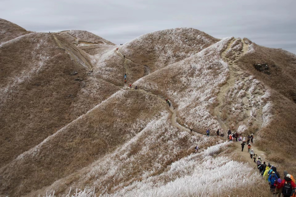 微信图片_20231225112129