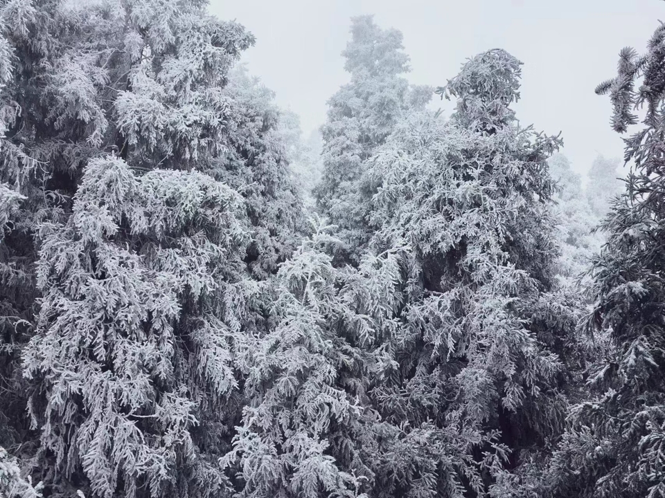 微信图片_20240103174927