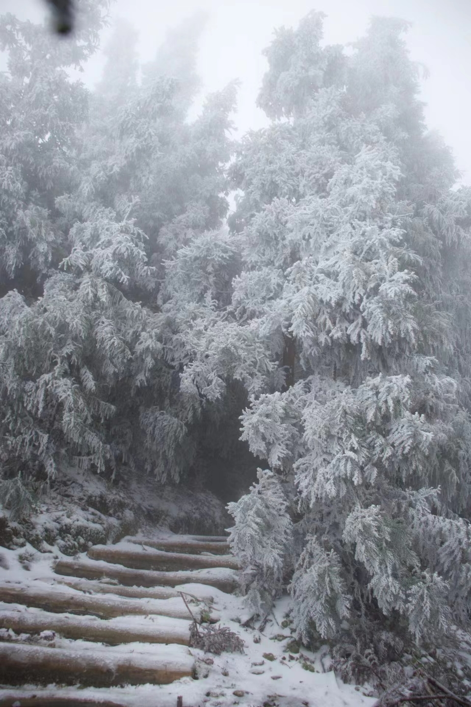 微信图片_20240103174931