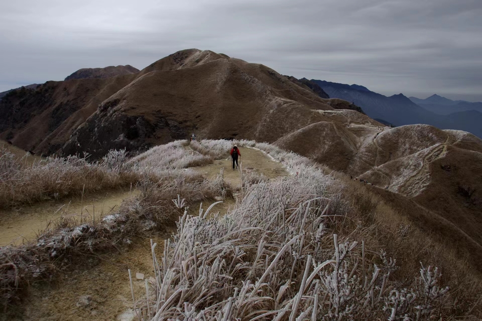 微信图片_202312251121291