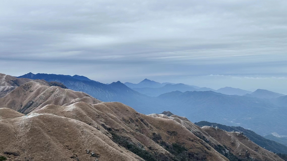 微信图片_202401031749271