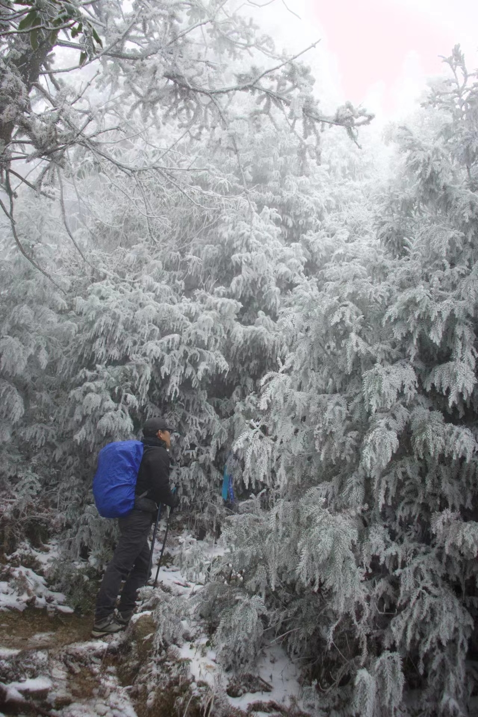 微信图片_202401031749311