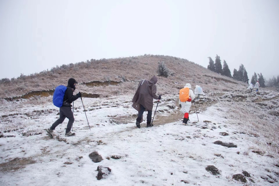 微信图片_202401031749312