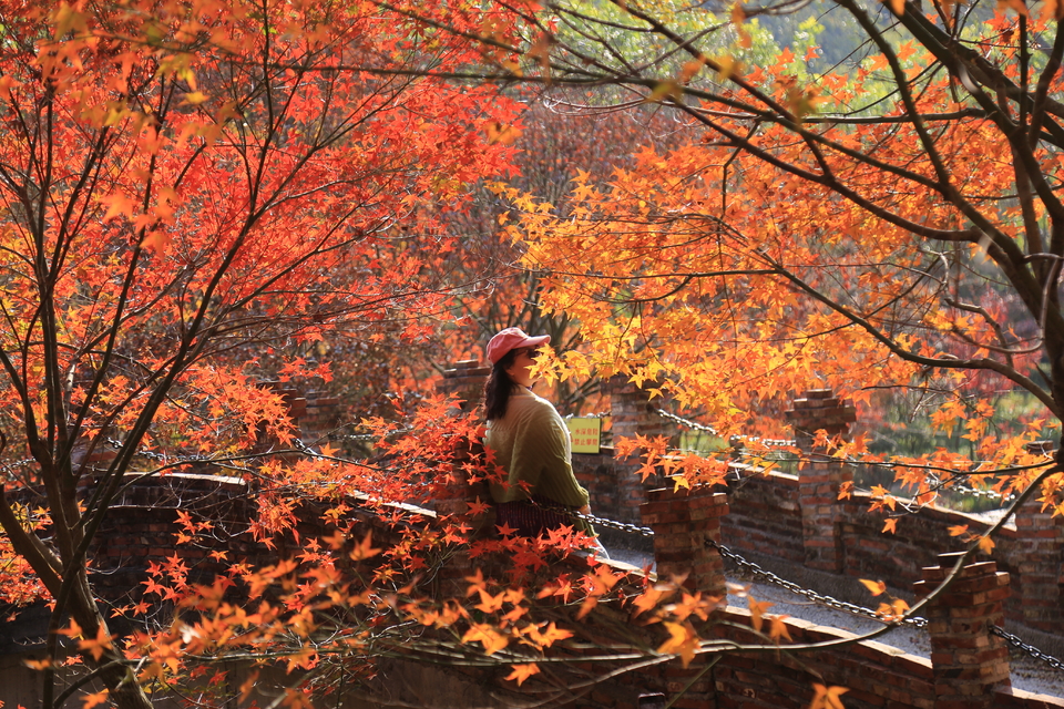 微信图片_20231206100227