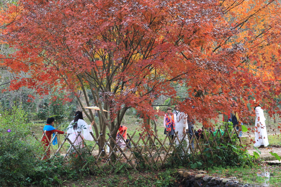 微信图片_20231206101158