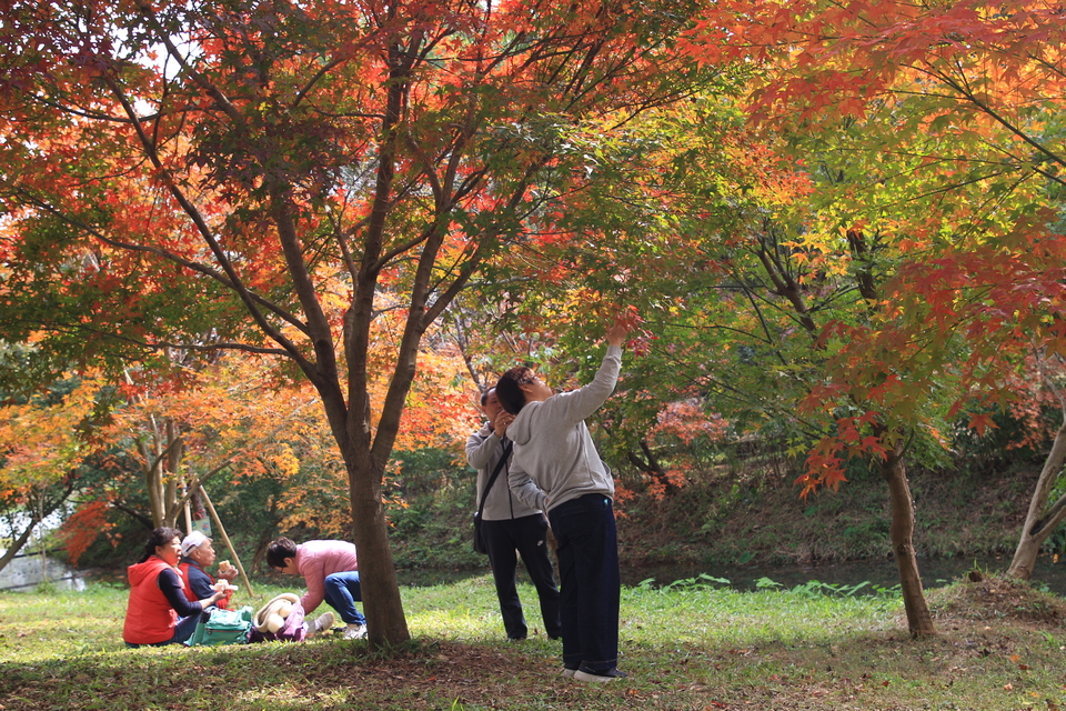 微信图片_20231206101159