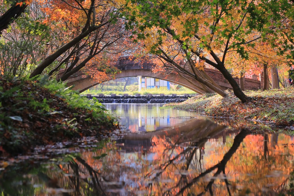 微信图片_20231206101204