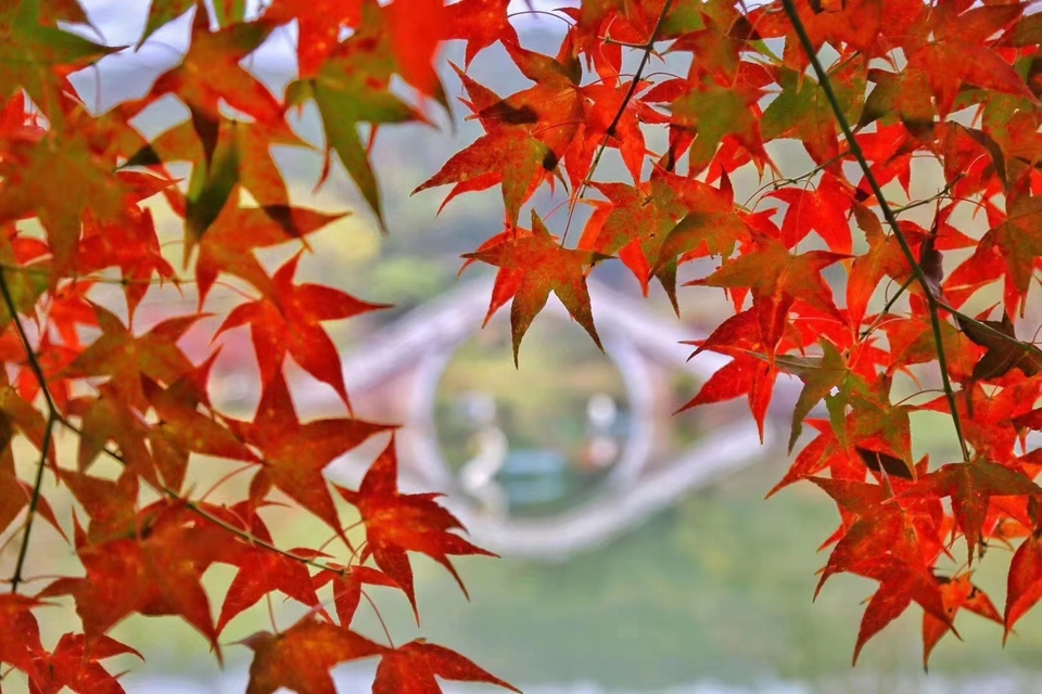 微信图片_20231207160516