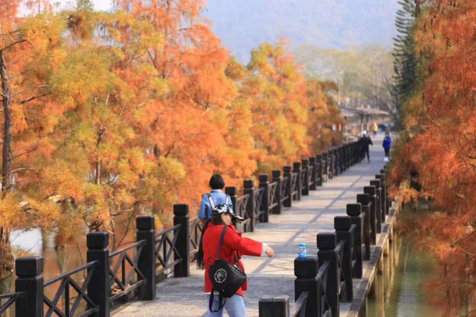 微信图片_20231207160519