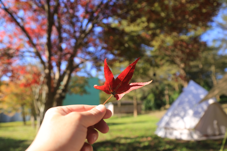 微信图片_20231207180138