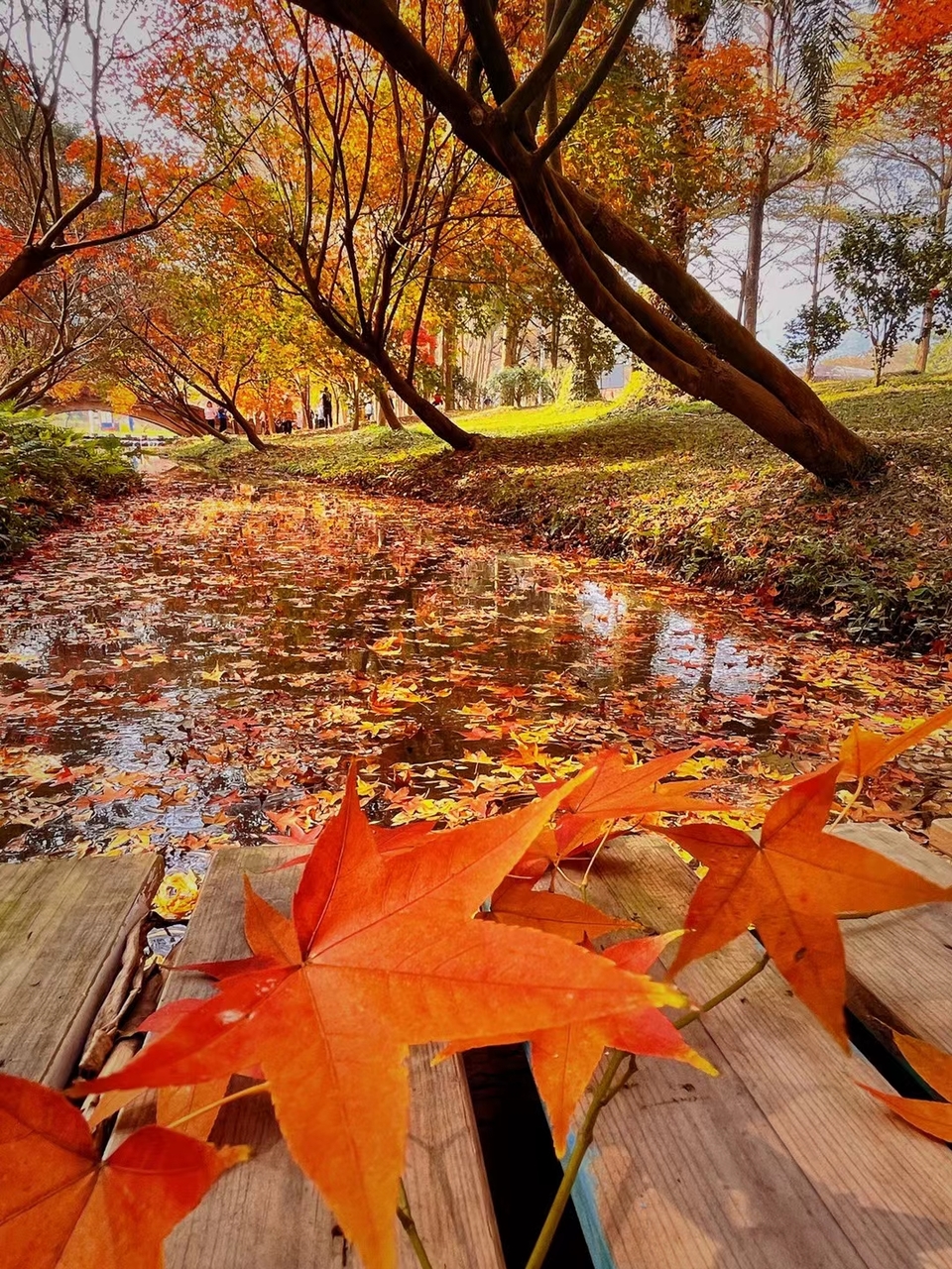 微信图片_20240102120640