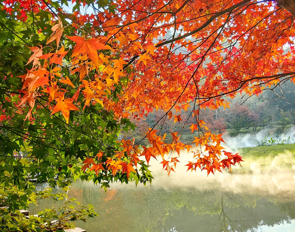 微信图片_20240103121213