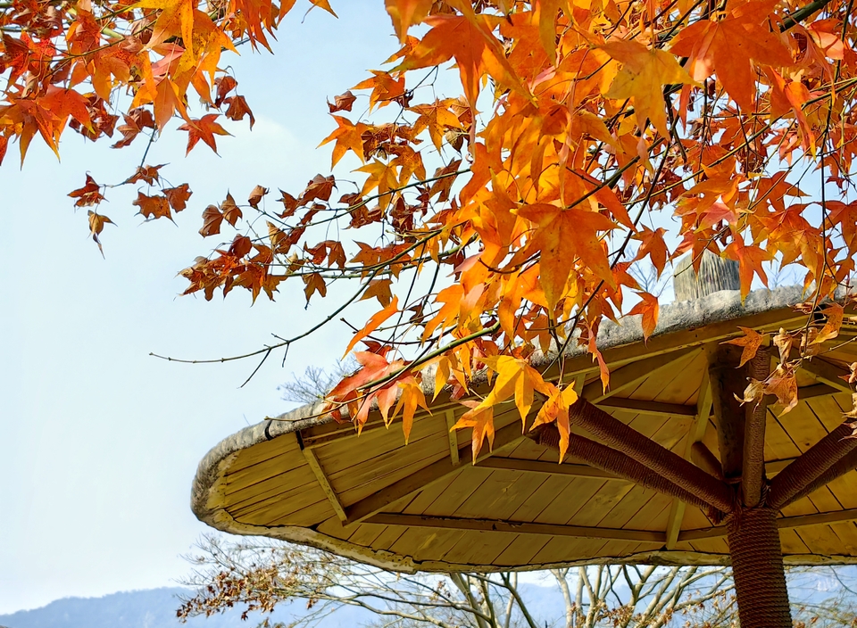 微信图片_20240103155822